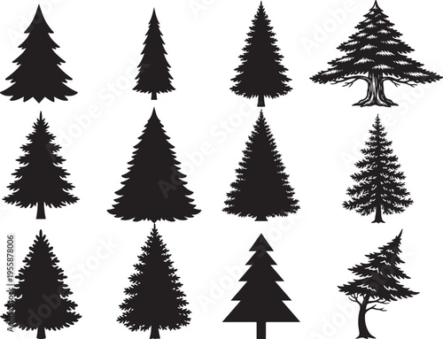 Evergreen Pine Tree Natural Forest Shape Silhouette