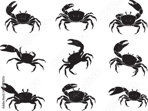 Fiddler Crab Raised Claw Marine Silhouette