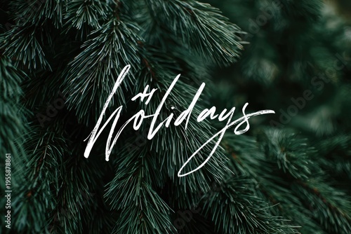 Festive Holidays - Evergreen Branches with Holiday Greetings in White Script.