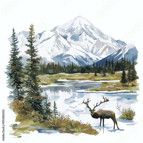 Denali National Park. Denali National Park hand drawn watercolor illustration