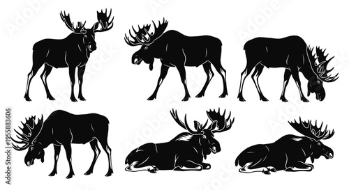Set of Moose Silhouettes: Standing, Walking, Grazing, and Resting
