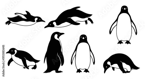 Set of Penguin Illustrations: Various Poses and Actions, Black and White Line Art