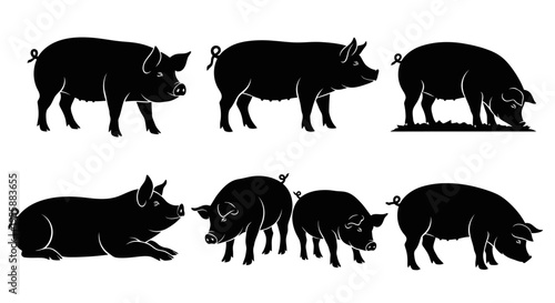 Set of Pig Silhouettes: Various Poses of Farm Animals in Black and White