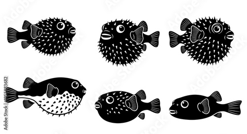 Set of Pufferfish Illustrations: Spiky and Smooth Variations