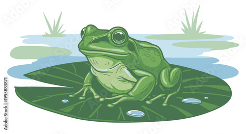 Green Frog Sitting on Large Leaf.