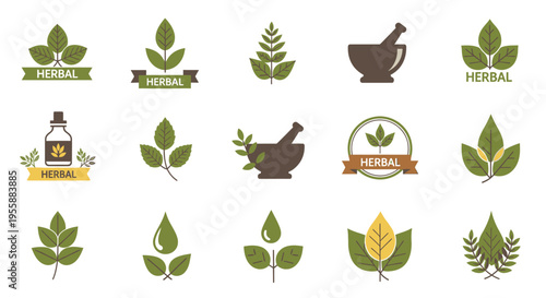 Herbal medicine leaf icons and symbols.
