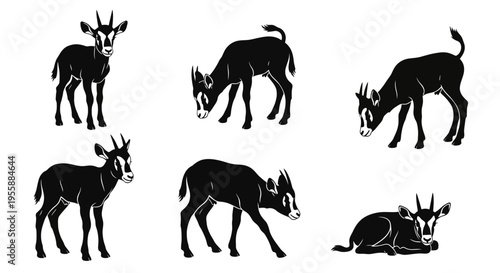 Set of Sable Antelope Silhouettes in Various Poses