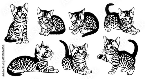 Set of Seven Adorable Bengal Kittens in Various Poses, Black and White Illustration