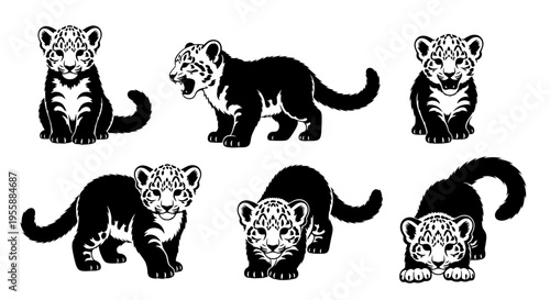 Set of Six Adorable Baby Jaguar Illustrations in Various Poses, Black and White