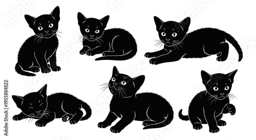 Set of Six Adorable Black Kittens Posed in Various Playful and Cute Positions
