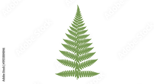 Green fern leaf icon, a symbol of nature's beauty and renewal