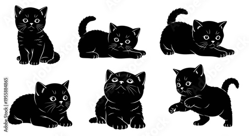 Set of Six Adorable Black Kittens Poses, Cute British Shorthair Cats Illustrations