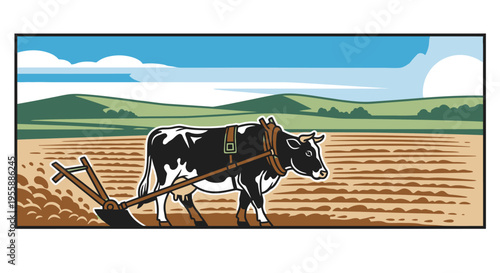 Black and white cow plowing field.