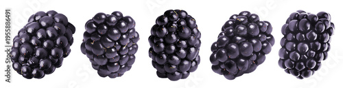 Fresh ripe blackberries isolated on white, set