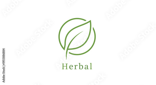 Herbal leaf logo design element green.