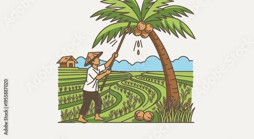 Man Harvesting Coconut From Palm Tree.
