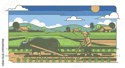 Man plowing field with big ox 1.