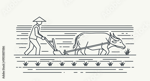 Man plowing field with oxen farm.