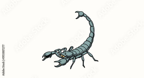 Scorpion Insect Arachnid Stinger Creature.