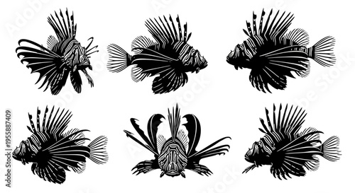 Set of Six Black and White Lionfish Illustrations, Isolated on White Background