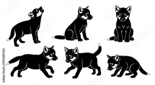 Set of six black and white illustrations of wolf cubs in various poses