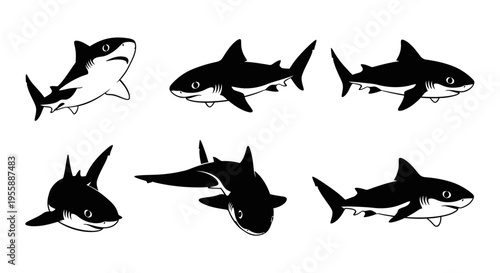 Set of Shark Illustrations in Black and White, Various Angles