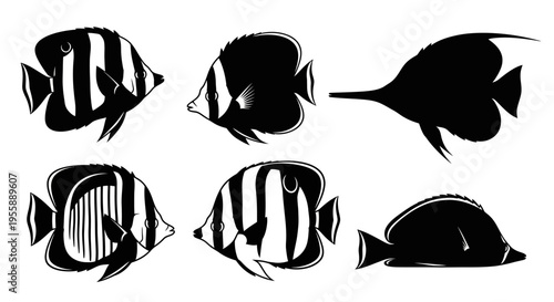 Set of Six Black and White Silhouette Tropical Fish Illustrations
