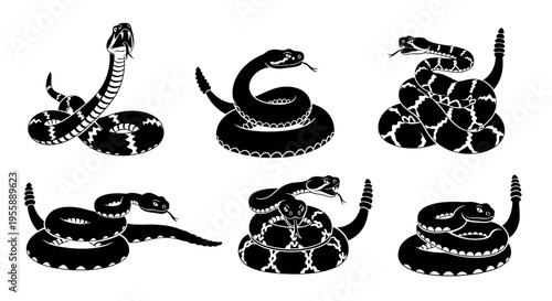Set of Six Black and White Snake Silhouettes in Various Poses