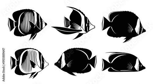 Set of Six Black and White Tropical Fish Silhouettes, Marine Life Illustrations