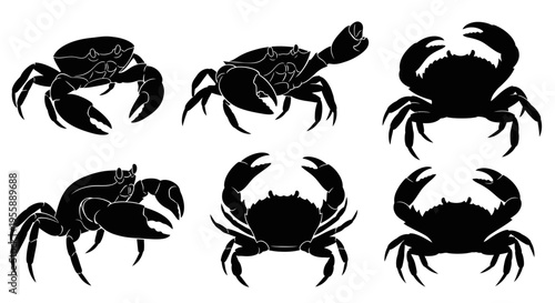 Set of Six Black Crab Silhouettes on White Background, Ocean Wildlife Icons