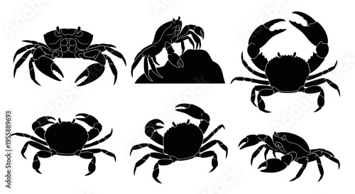 Set of Six Black Crab Silhouettes on White Background, Marine Life Vector Illustration