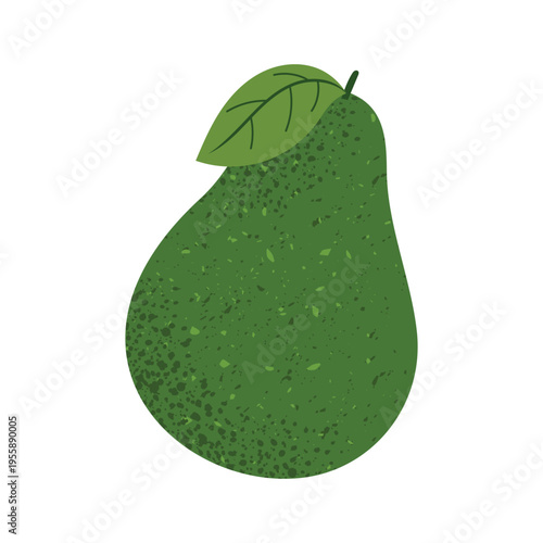Whole avocado fruit with leaf. Fresh healthy food ingredient. Flat vector illustration isolated on white background.