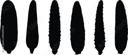 Sea cucumber silhouette set. Marine invertebrate vector collection with vertical shapes and body variations. Ocean animal silhouettes isolated for biology, education, and design use.