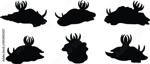 Nudibranch silhouette set. Marine sea slug vector collection with elegant layout and multiple poses. Ocean animal silhouettes isolated for education, infographic, and design use.