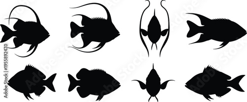 Archerfish silhouette set. Tropical aquarium vector collection with multiple angles and varied poses. Freshwater fish silhouettes isolated for nature, wildlife, and graphic design use.
