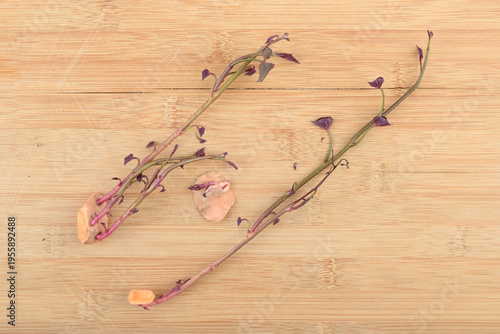 Sweet potato cuttings and sprouts for propagation on a wooden substrate.