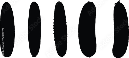 Sea cucumber silhouette set. Simple marine invertebrate shapes with smooth body forms. Ocean animal vector isolated for biology, education, and minimal design use.