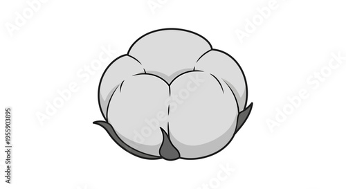 Simple monochrome cotton boll illustration with delicate lines and soft shadows