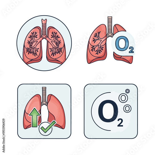 Human Lungs Oxygenation and Respiration Process Icons.
