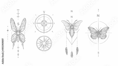 Four intricate glyphs insects with symbols, compass, and constellations on a white background