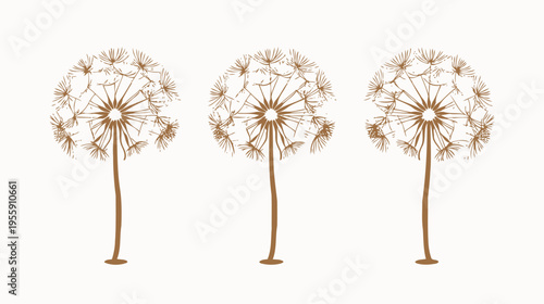 Three brown dandelion puff illustrations on a white background in digital art
