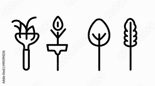 Four simple line drawings of plants on a white background, each with unique characteristics