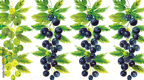 Four berry bunches with leaf clusters, showcasing ripening stage gradients and vibrant colors