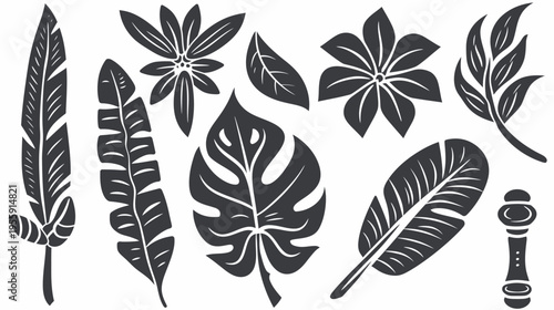 Hand-drawn black tropical foliage and plant shapes on a white background, botanical design