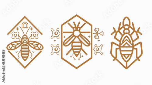 Three stylized brown insect emblems, each in a geometric frame, on a white background