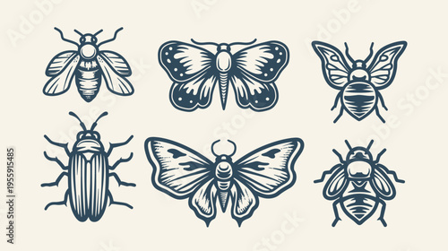 Six vector illustrations of insects, moths, and bees in dark blue on beige backdrop