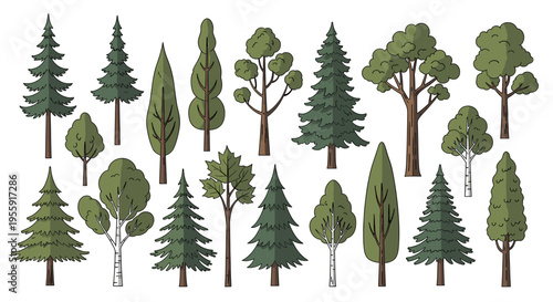 A diverse collection of cartoon trees, including various coniferous and deciduous species, showcasing different shapes and sizes in a stylized illustration.
