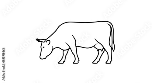 Minimalist Line Art of a Cow Grazing - Simple Farm Animal Illustration