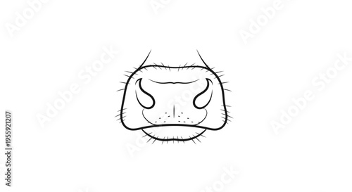 Close-up black and white line drawing of a cow's nose with whiskers