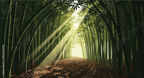 Sunlit bamboo grove illustration with dappled light illuminating a forest pathway through lush green stalks